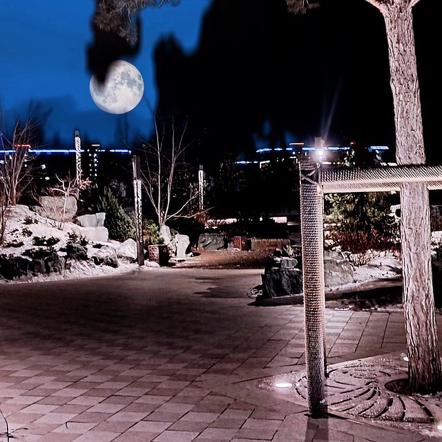 transfer_privet в LOOKY. . null