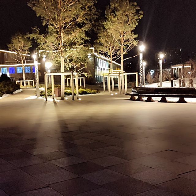 transfer_privet в LOOKY. . null