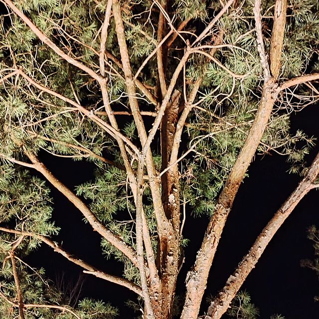 transfer_privet в LOOKY. . null