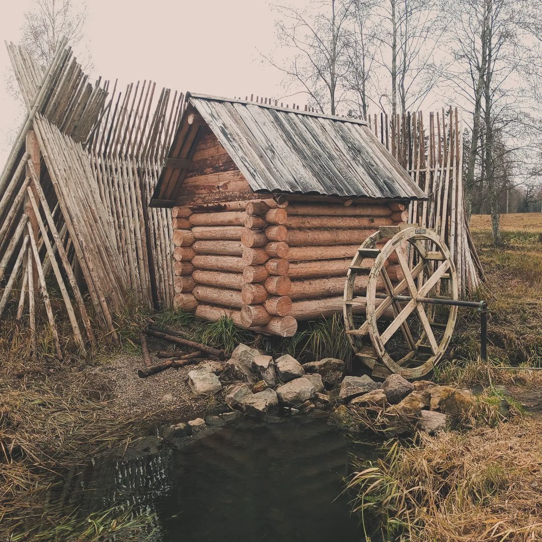 #Гатчина #Россия #gatchina #russia