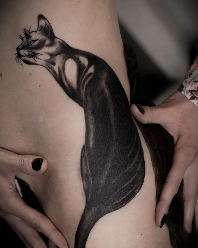 sashatae_tattoo в LOOKY. #татукошка,#cattattoo. Мяу на голубом глазу...