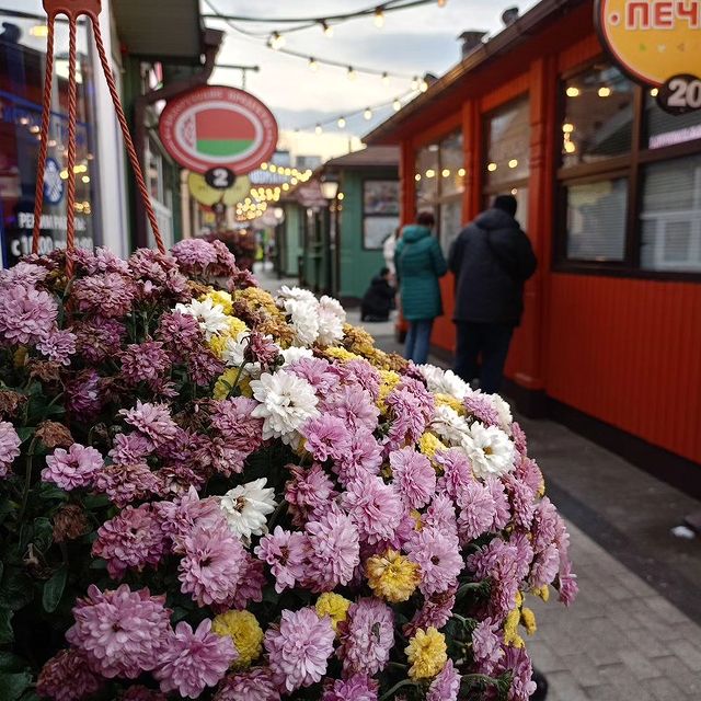 anton_kostarnov в LOOKY. . Выбрались из дома