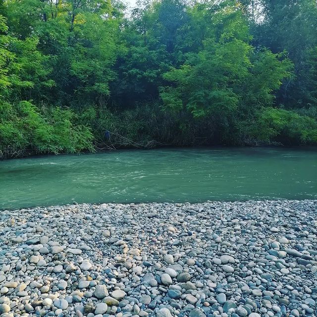 nick_steps26 в LOOKY. #river,#riverside,#forest. #river #riverside #f...