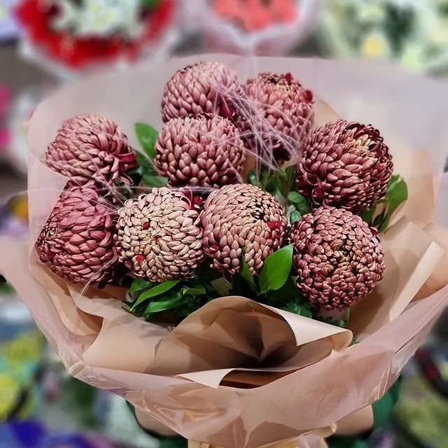 flowers_shop_zimovniki в LOOKY. #цветызимовники,#купитьцветызимовники,#доставкацветовзимовники,#цветы24. Такие прекрасные ком...