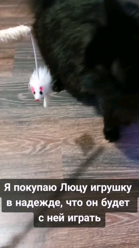 vika_reys_ в LOOKY. #рекомендации. #рекомендации