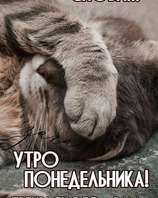t.kachkina в LOOKY — публикация