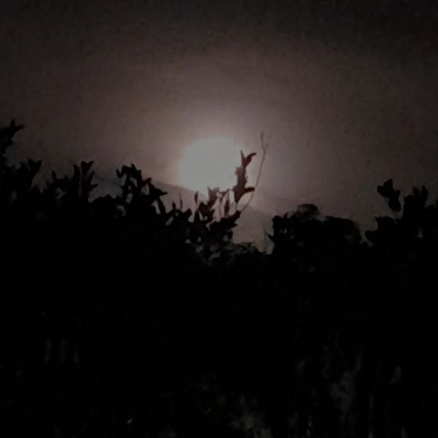 daffy_tjit в LOOKY. #moon,#🌕,#moonlovers,#moonmagic. #moon #🌕 #moonlover...
