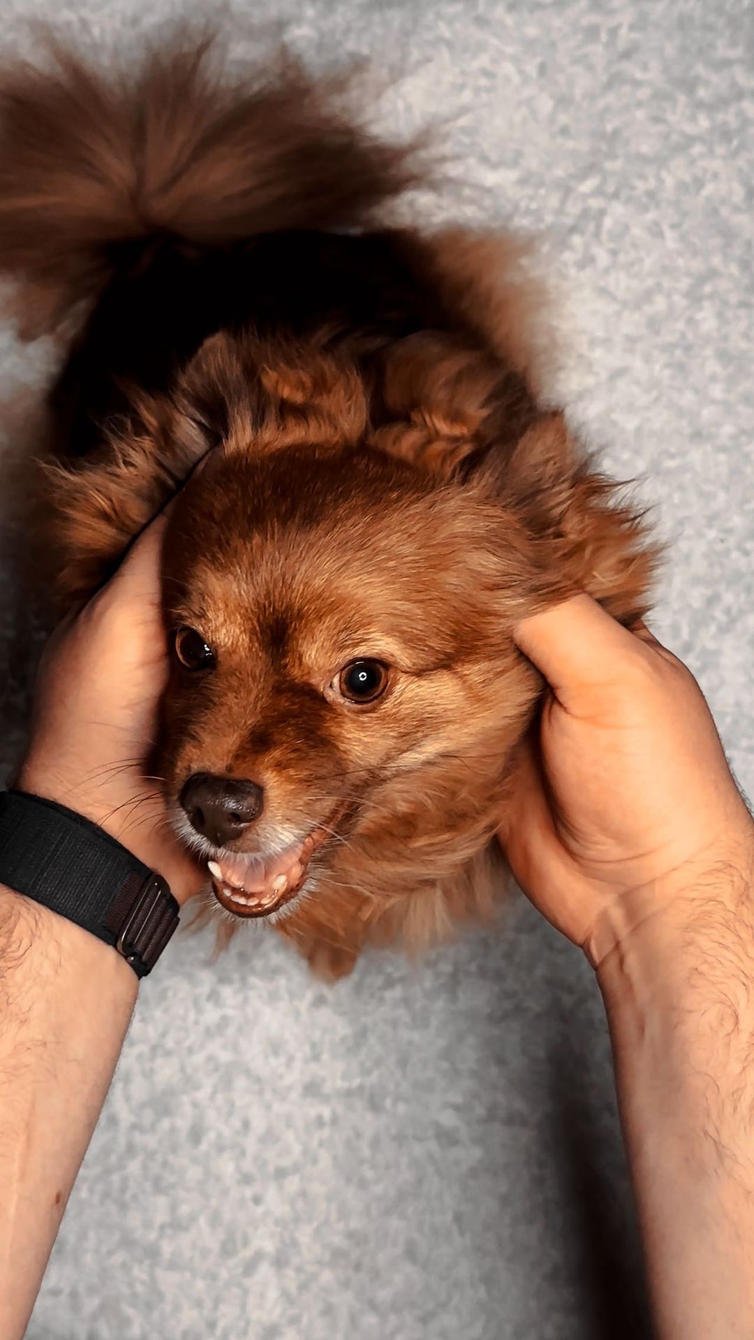 TheFooxy в LOOKY. . Bébé Wika se fait un...