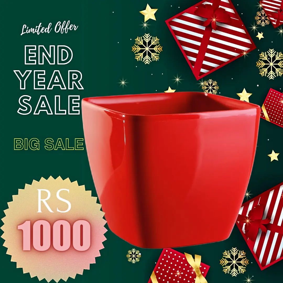 🎄🪴🪴🪴pot carré queen size
