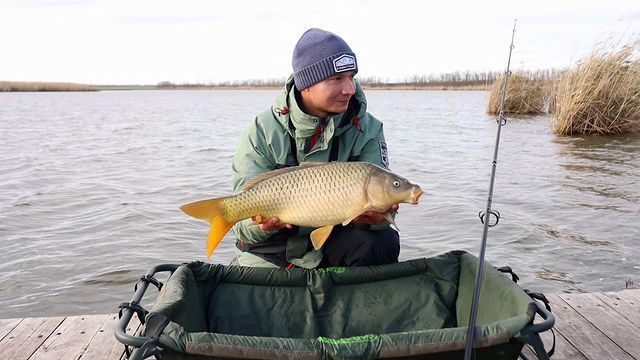 yug_fishing в LOOKY. #рыбалка,#карпфишинг,#краснодарскийкрай,#отдых. Осенняя рыбалка на к...