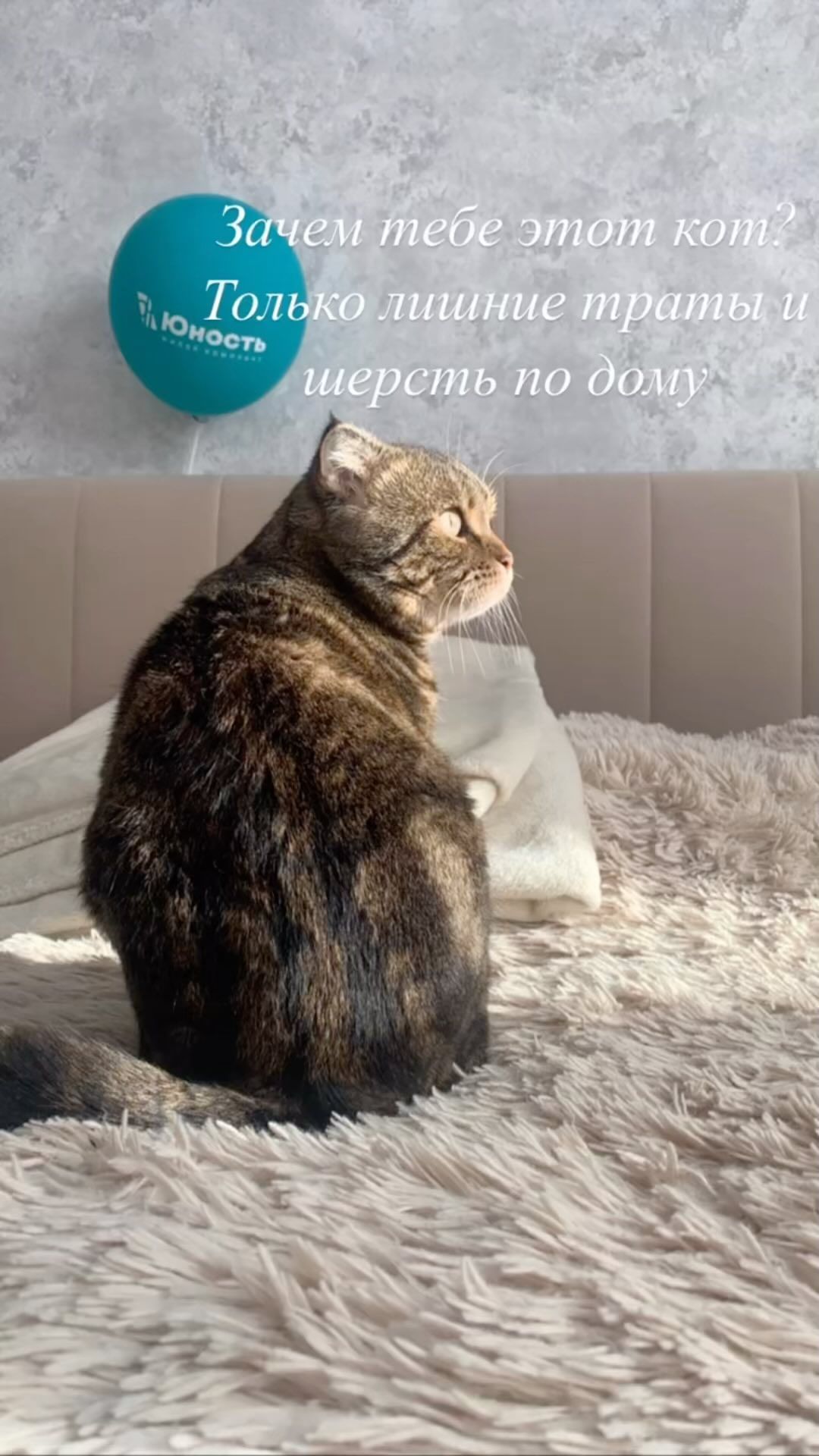ovchinnikova_96 в LOOKY. . 🫶🏼😺