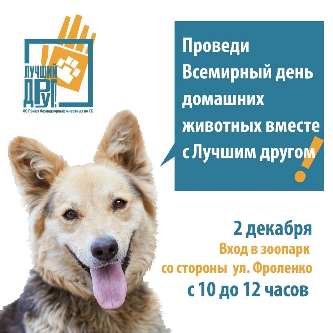 priyt_ld_stav в LOOKY — ВСЕМИРНЫЙ ДЕНЬ ДОМАШНИХ ЖИВОТНЫХ!
ВСТРЕЧАЕМСЯ В ПАРКЕ!
⠀
Дру