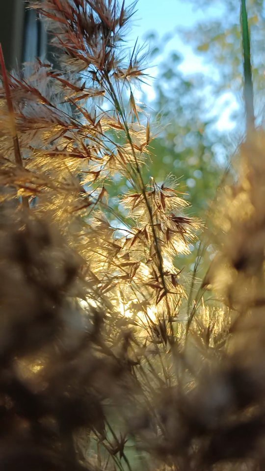 Ульяна Иконопись  Вышивка в LOOKY. . Такой была осень🍁🍂...