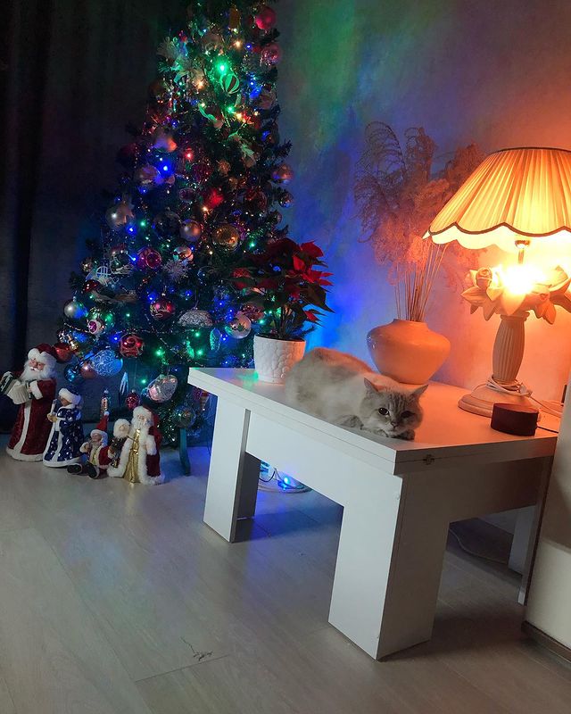 svetlana_polovi в LOOKY. . Новогодняя композици...