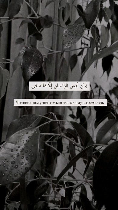 tkh_vvva в LOOKY. . null