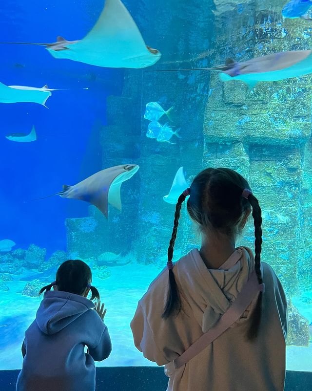 anna_kychkina90 в LOOKY. . Москвариум❤️🥰