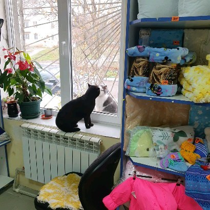alla_foma2 in LOOKY. . Сигнализация сработа...