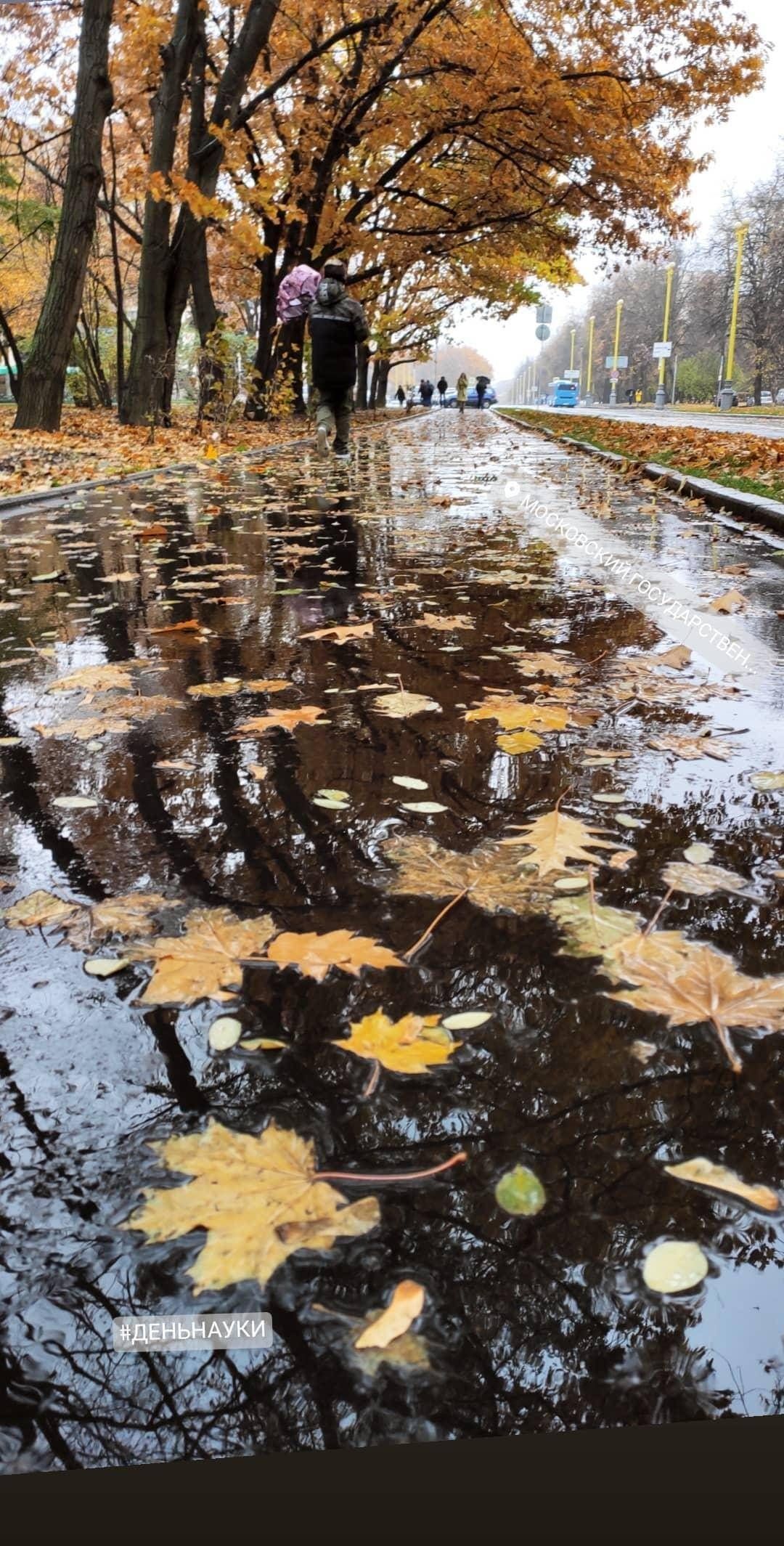 nafanyanaf in LOOKY. . Вспомнилось как-то с...