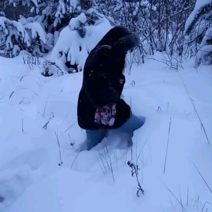 tanuwka_jy в LOOKY. #зима,#декабрь,#снег. Чего только не сдела...