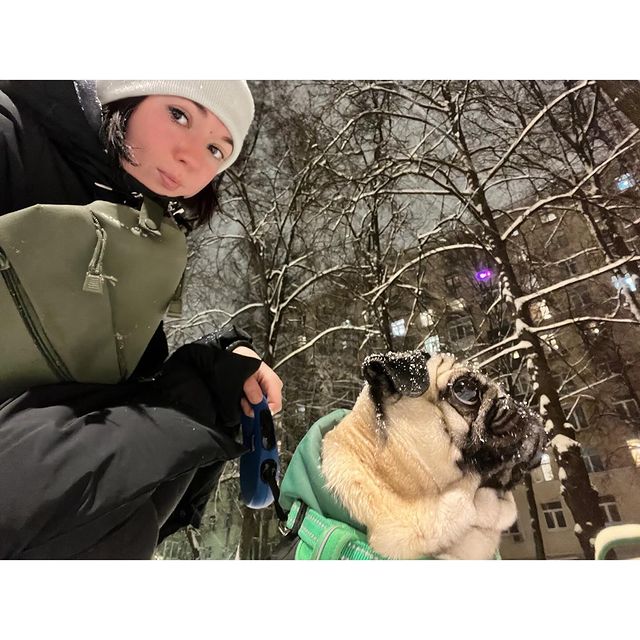 alethepug в LOOKY. . null