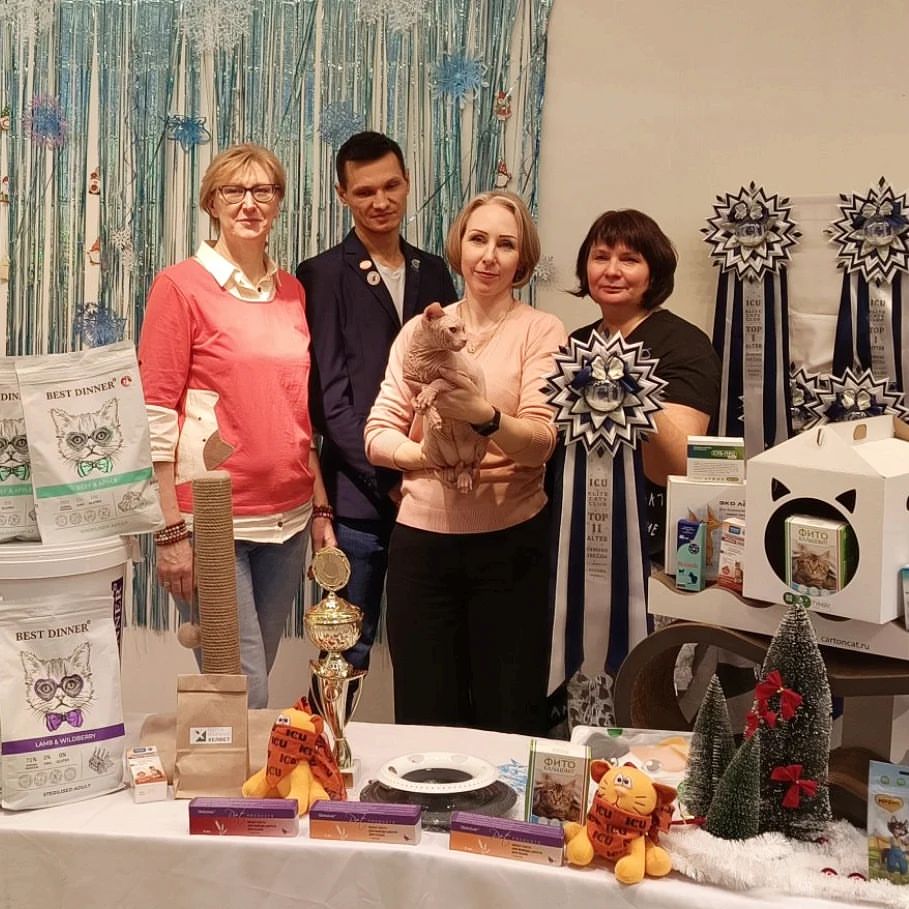 sphynx_shococats в LOOKY — По итогам выставки "Зимние звезды"❄ по системе ICU, за два д