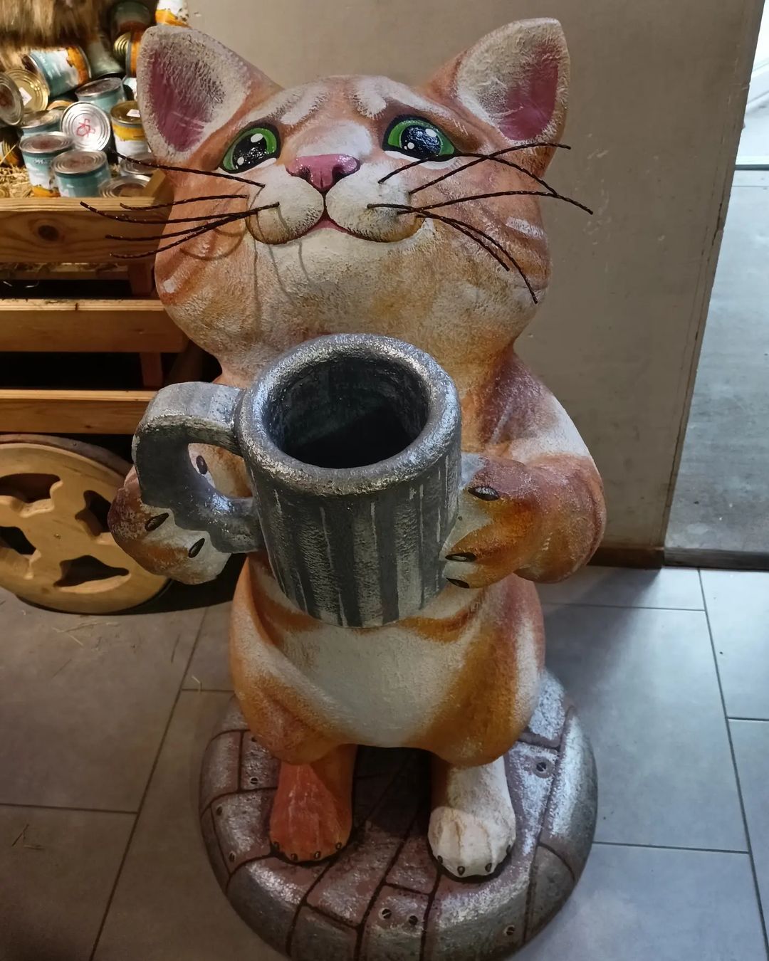 Котики