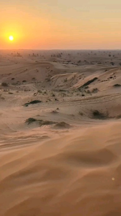  в LOOKY — Приключения в пустыне Рас аль Хайма🏜️🐫🚗
