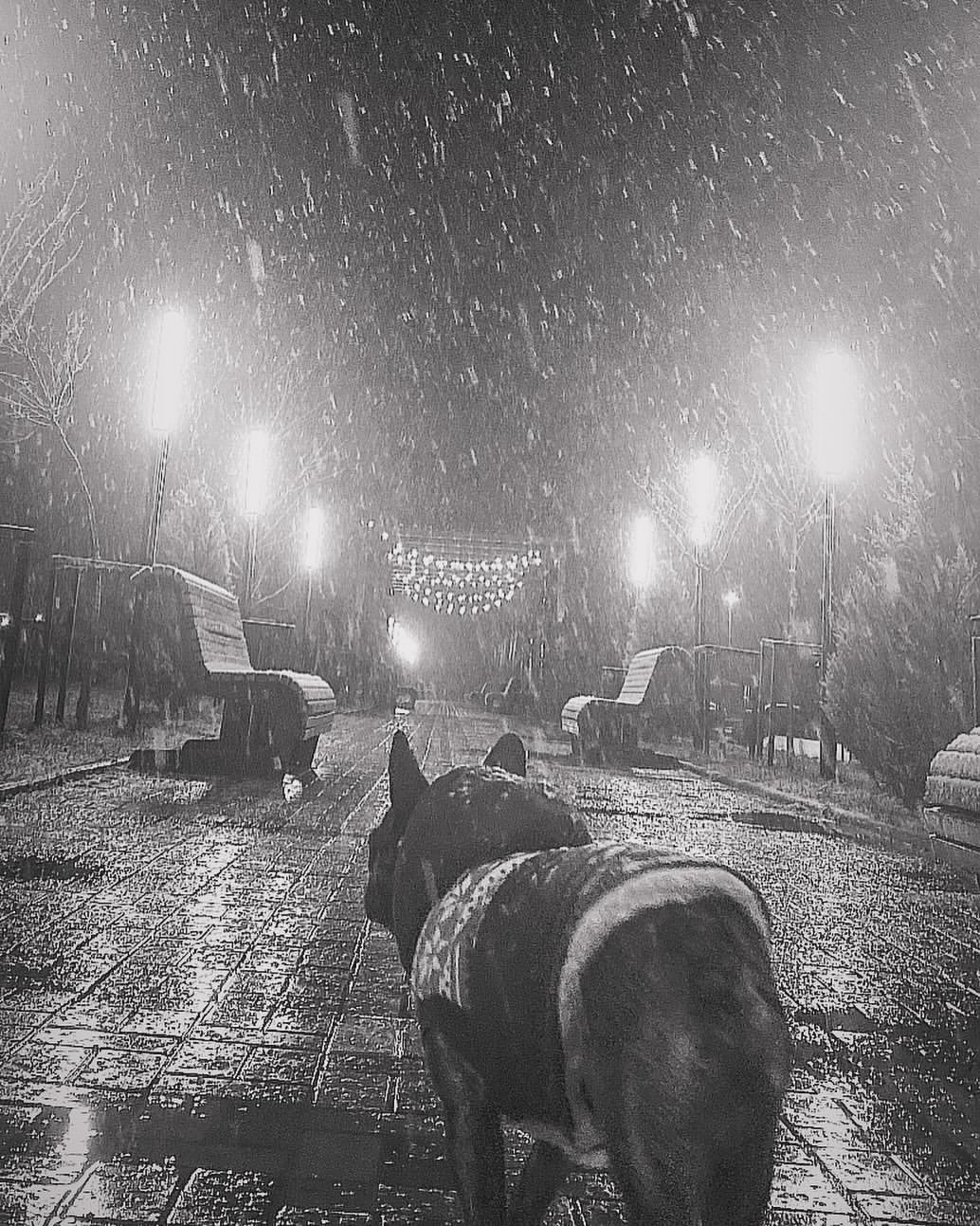 🌨️❄️
Первое выпадение снега - это не просто событие, это волшебное событие. 
Ты ложишься спать в одном мире, а просыпаешься и обнаруживаешь себя в другом, совершенно отличном, и если это не волшебство, то где его можно найти?” 
  Дж. Б. Пристли