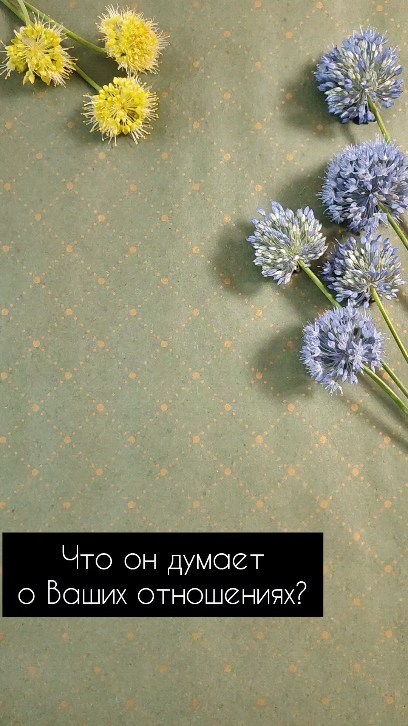 dergacheva13 в LOOKY. #таро,#москватаро,#гаданиетаро,#раскладтаро,#таросургут,#тарокраснодар,#тароонлайн. КАКИМИ ОН ВИДИТ ВАШИ...