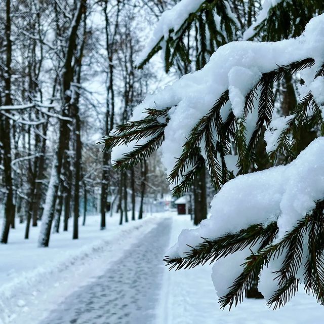 elenka239012 в LOOKY. . Жизнь в мелочах..зим...