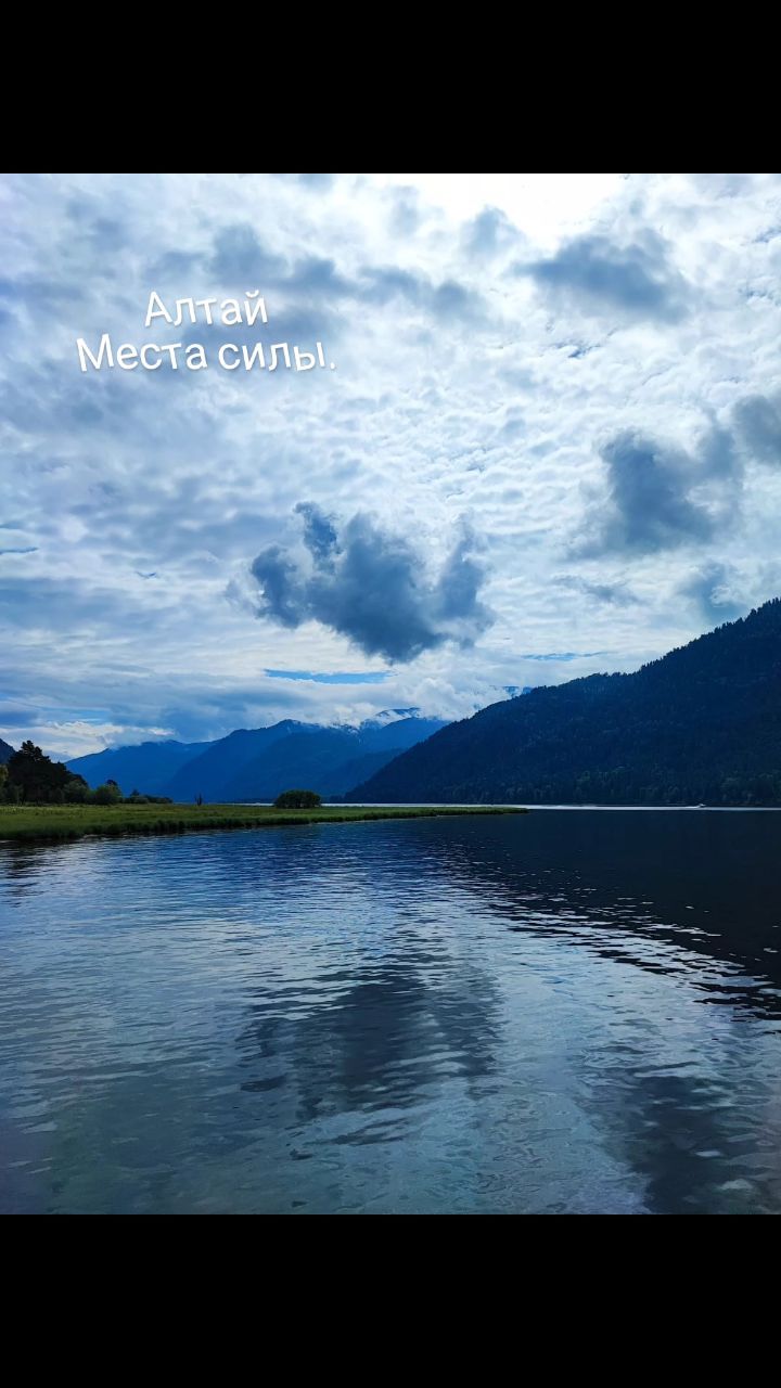 yliyakashapova в LOOKY. . null