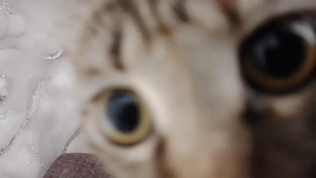 Ангелина Подонина в LOOKY. . Меня небыло достаточ...