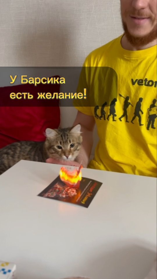 flywishes_ru2 в LOOKY. . Прямиком из Хогвартс...
