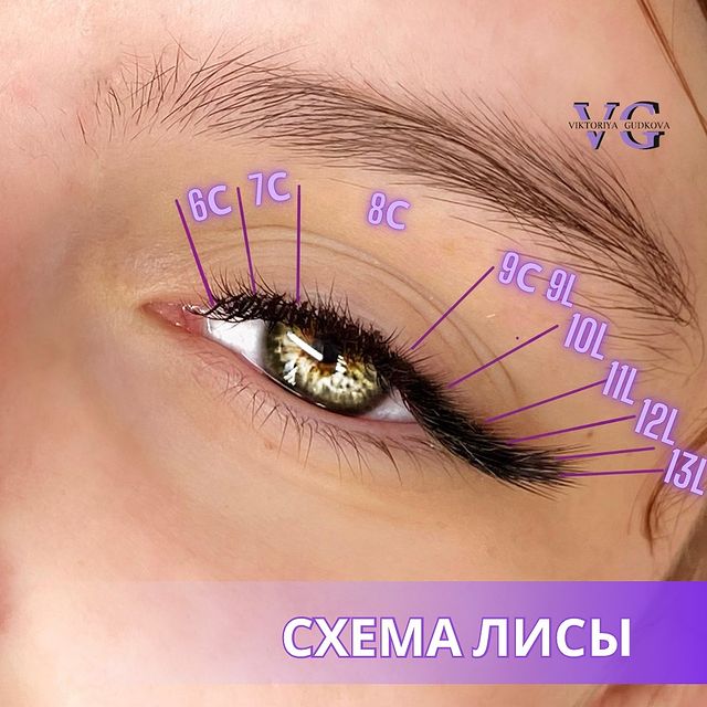 vg_lashtrener в LOOKY. . Схема лисы 🦊 
✅Экст...