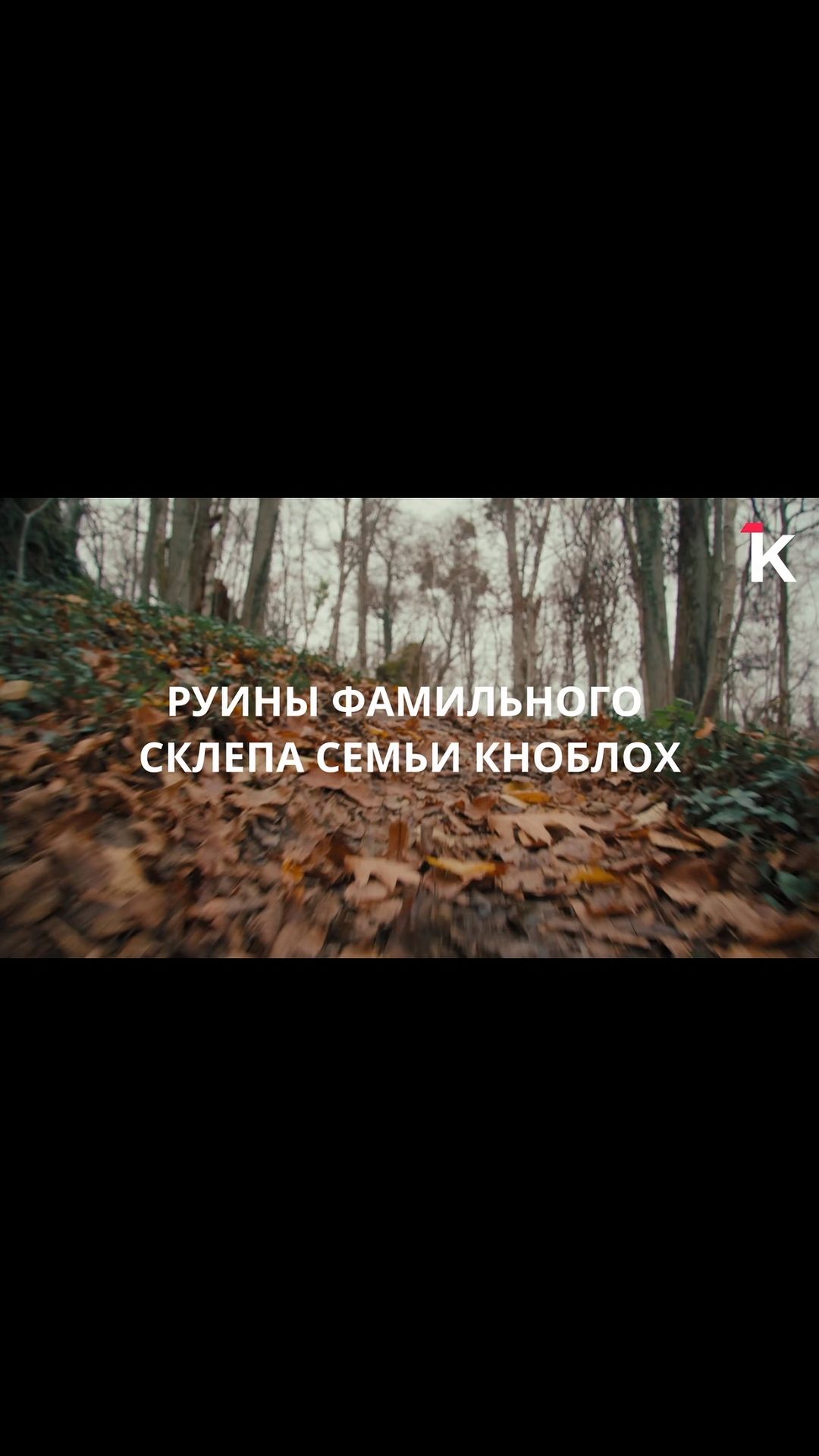 ВИДЕООПЕРАТОР   Калининград в LOOKY. . null