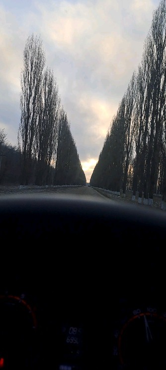 nadezhda_2202_m in LOOKY. . null