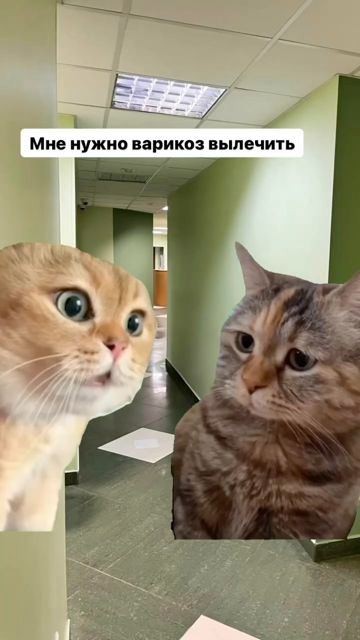 doc_ermak в LOOKY. . 💵Давайте посчитаем ...