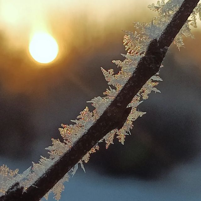 kata_cat в LOOKY. #magic,#nature,#macro,#photography. Magic

#magic #natur...