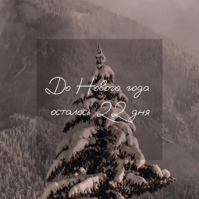 ane4ka.aa_11 в LOOKY. . null