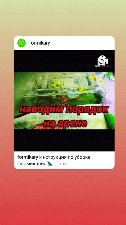 ant_happy_27 в LOOKY. #муравьихабаровск,#муравьиныефермы,#формикарийхабаровск,#хабаровск,#подарки,#дети,#новосибирск,#формикариихабаровск,#подаркихабаровск,#муравьихабаровск,#муравьинаяфермахабаровск,#срочно,#развлечение,#формикарий,#муравьи,#счастливыймуравей,#хобби,#ant_happy_27,#срочно,#жук,#знахарь,#новоселье. Просто воспоминания....