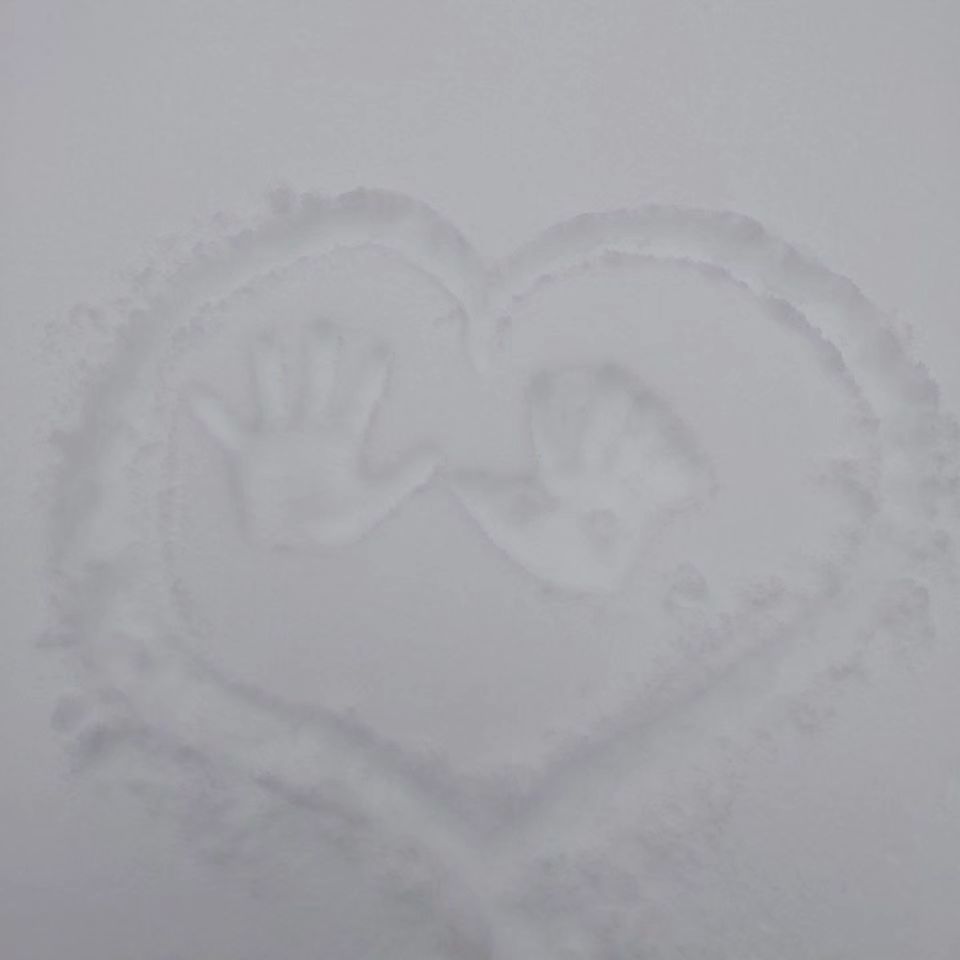 bowdy.1 in LOOKY. . С любимкой❄💋