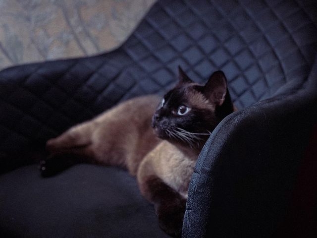 lex_diazzz в LOOKY. . Красаучек мой 😺