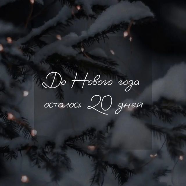 ane4ka.aa_11 в LOOKY. . null