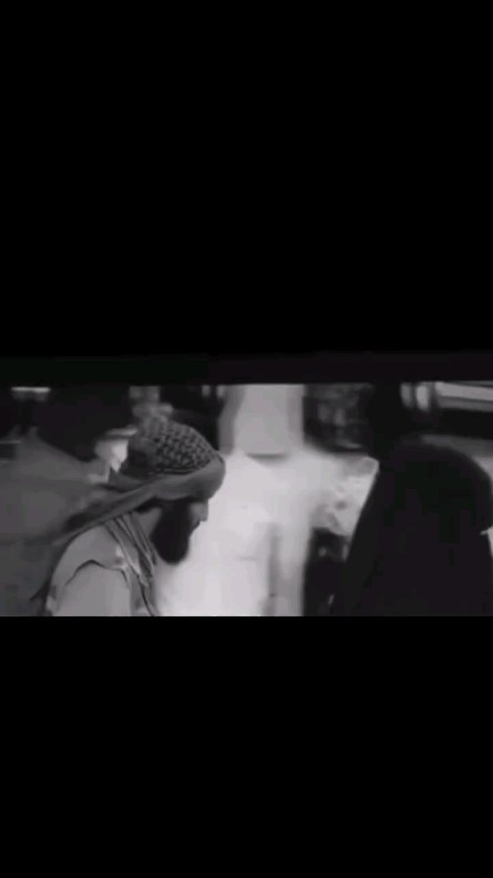 SHODMON в LOOKY. . null