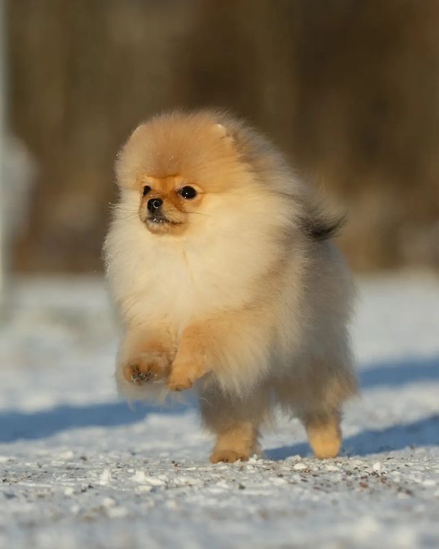 annasolo1223 в LOOKY. . Безумно красивые мал...