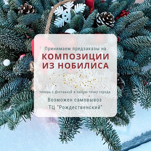 _e.zima_ в LOOKY. . null