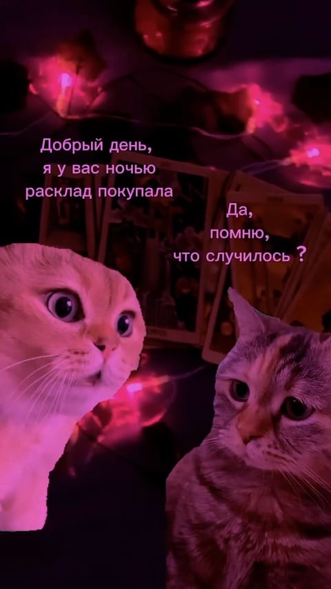 vera_taro19 в LOOKY. . Немного юмора вам в ...