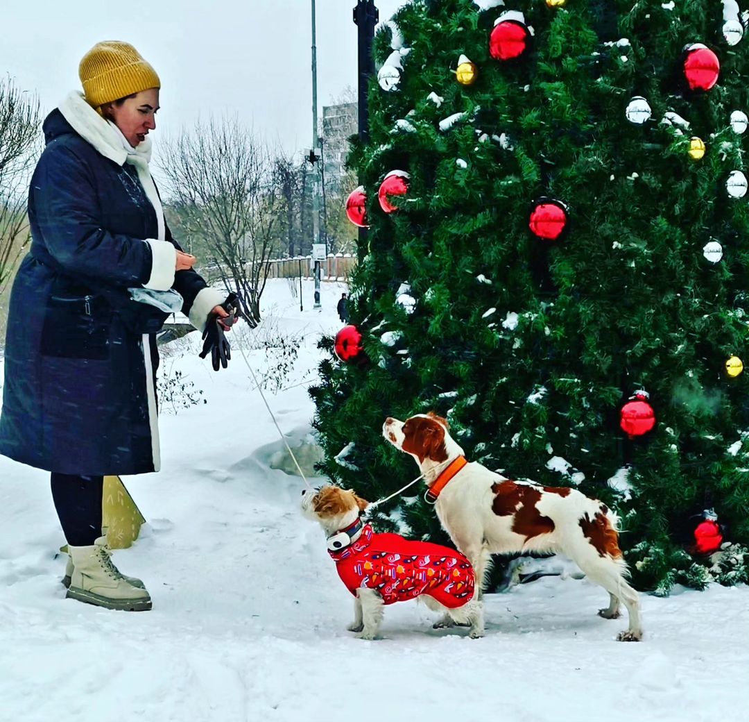 Подготовка к Сабанеевке. Моя красоточка Джина приезжала на занятия