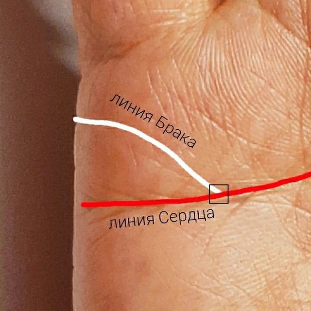 laboratory_innovation в LOOKY. . Когда линия Брака ск...