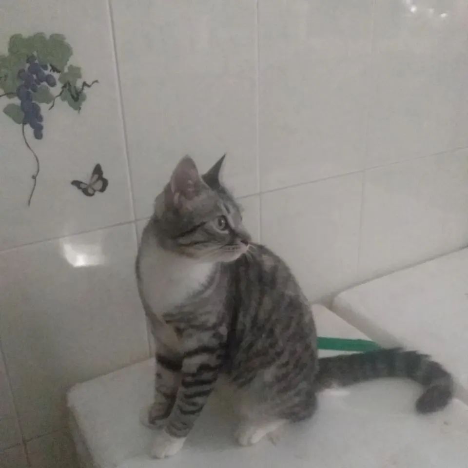zooinform в LOOKY — фото 2
